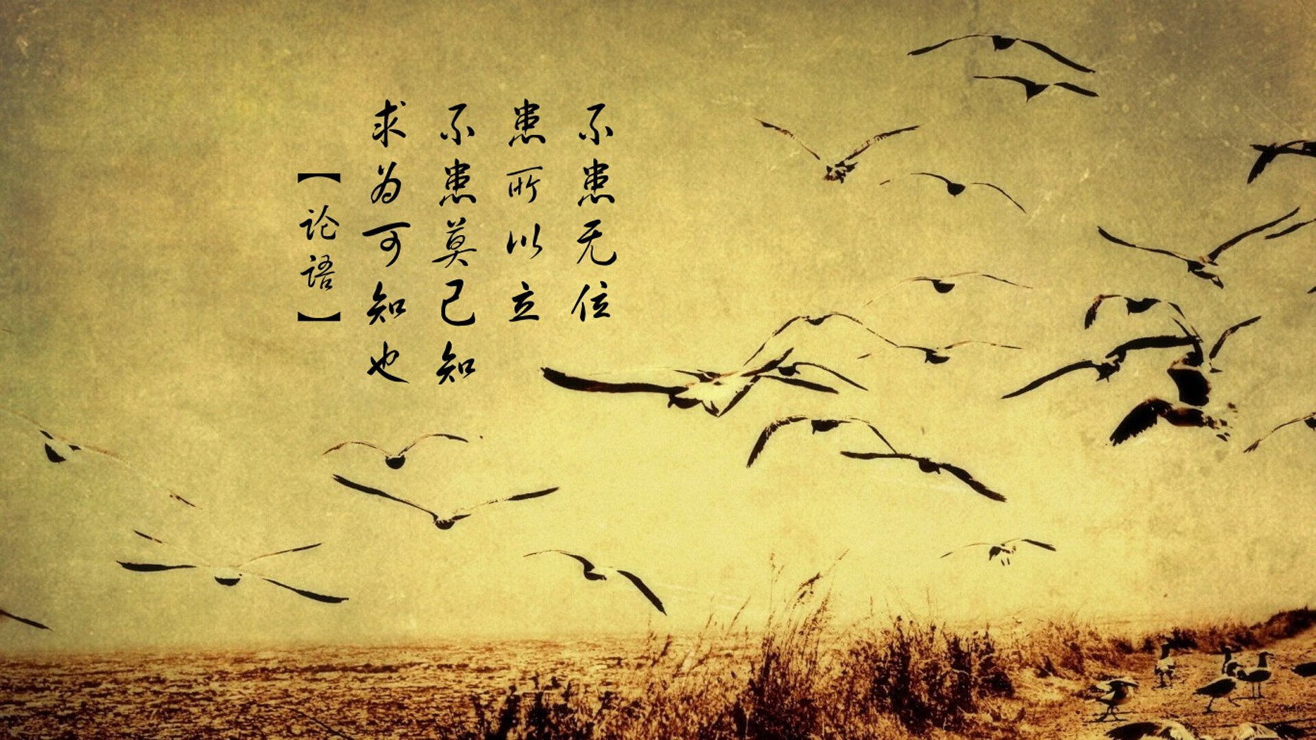中超联赛数据分析，揭示球队表现，中超联赛球员数据