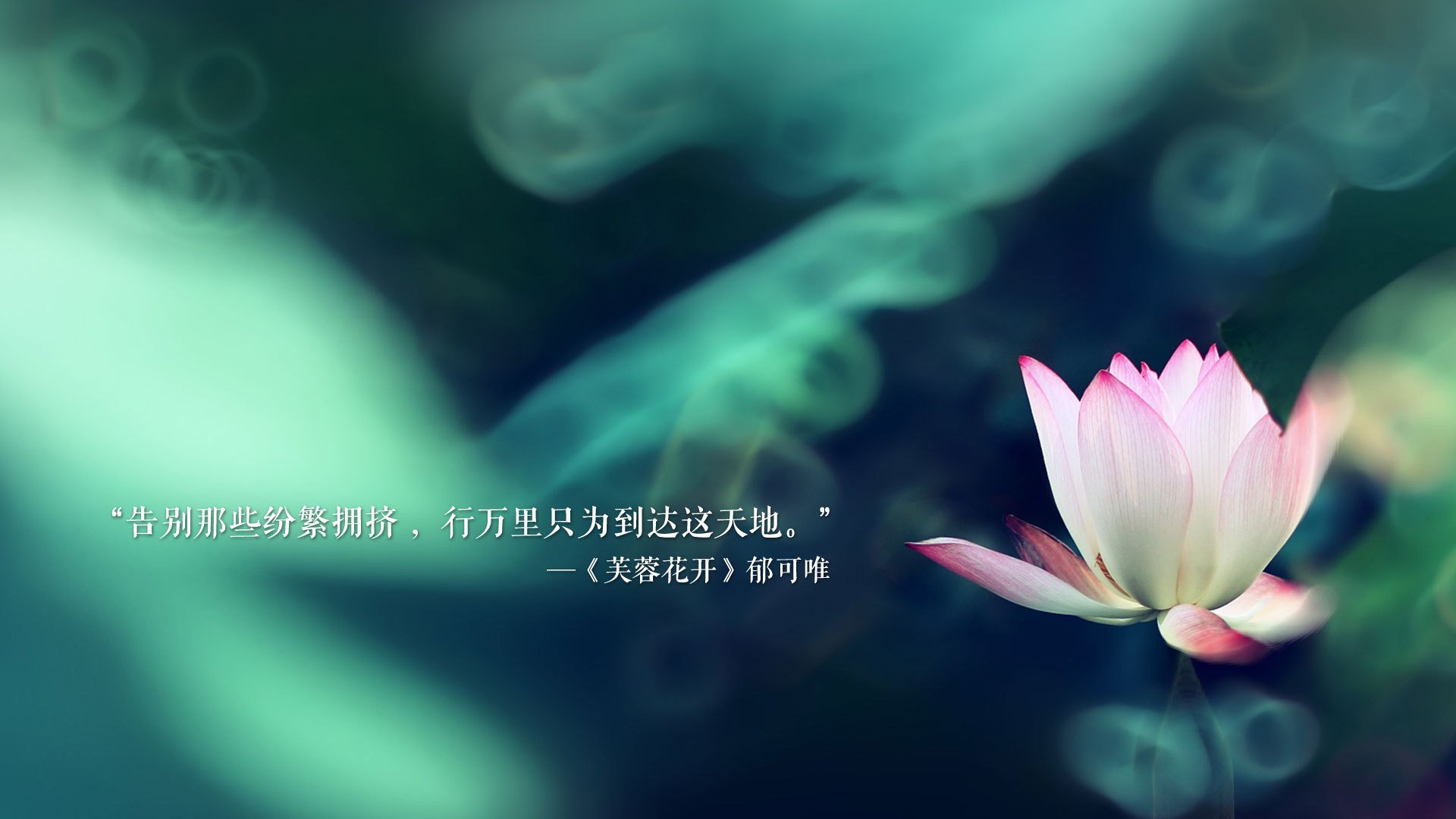 欧洲强队重返赛场，豪取胜利掀起胜利之风，欧洲强队有哪些