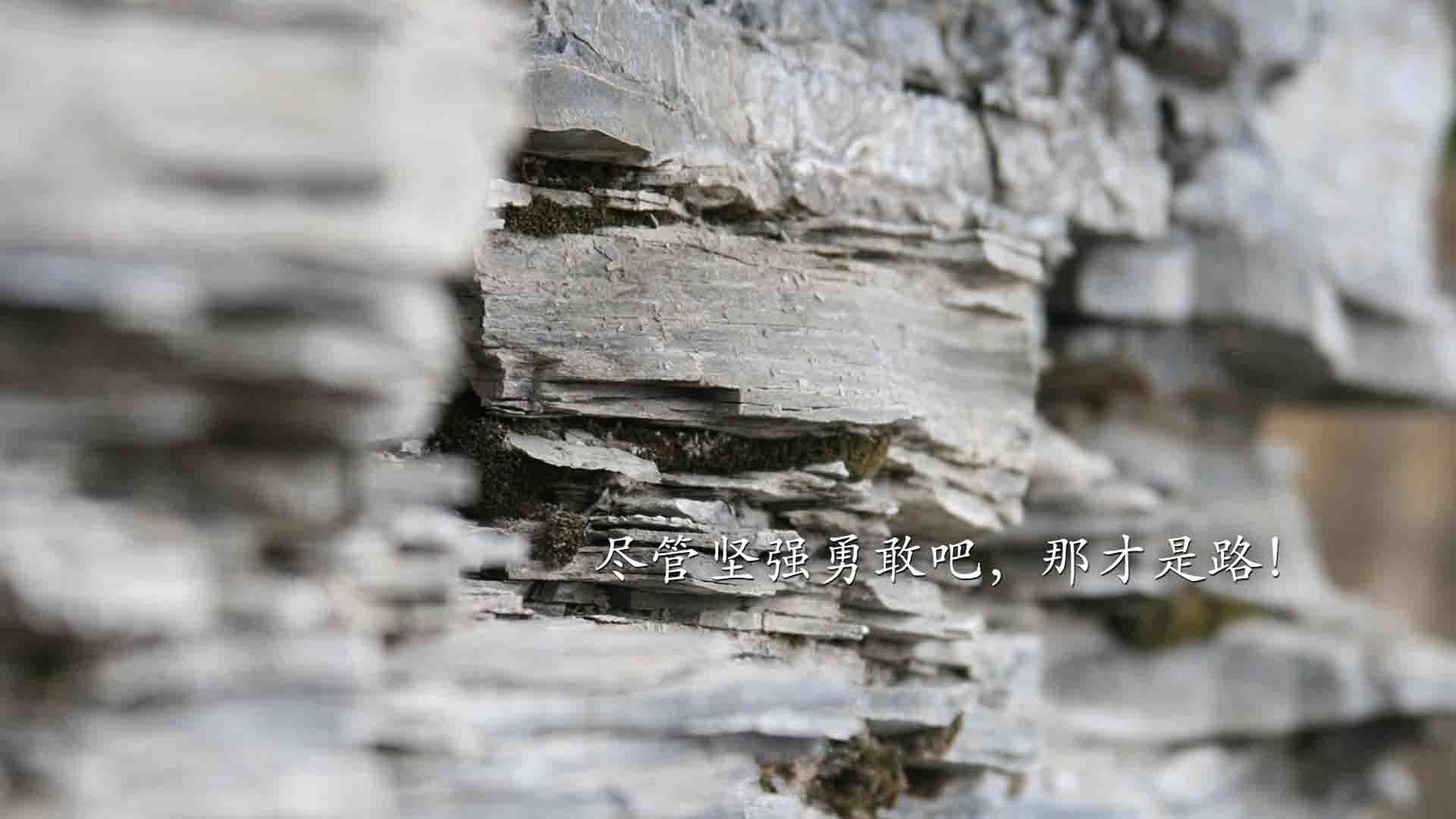 王者荣耀电竞赛事与传统体育跨界合作，王者电竞赛事平台