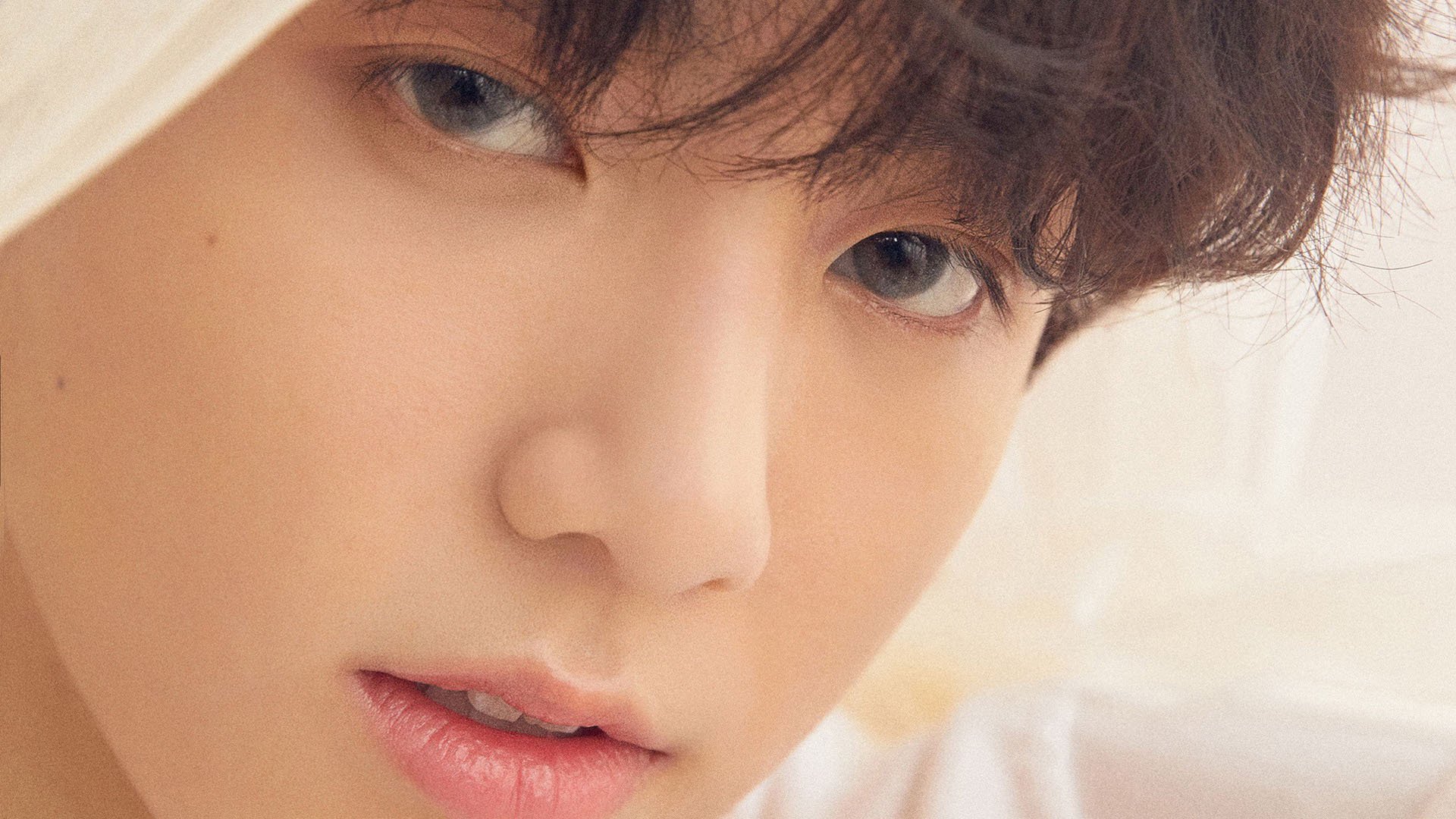 校园体育文化对学生创新能力的促进机制,校园体育文化对大学生体育精神的培养