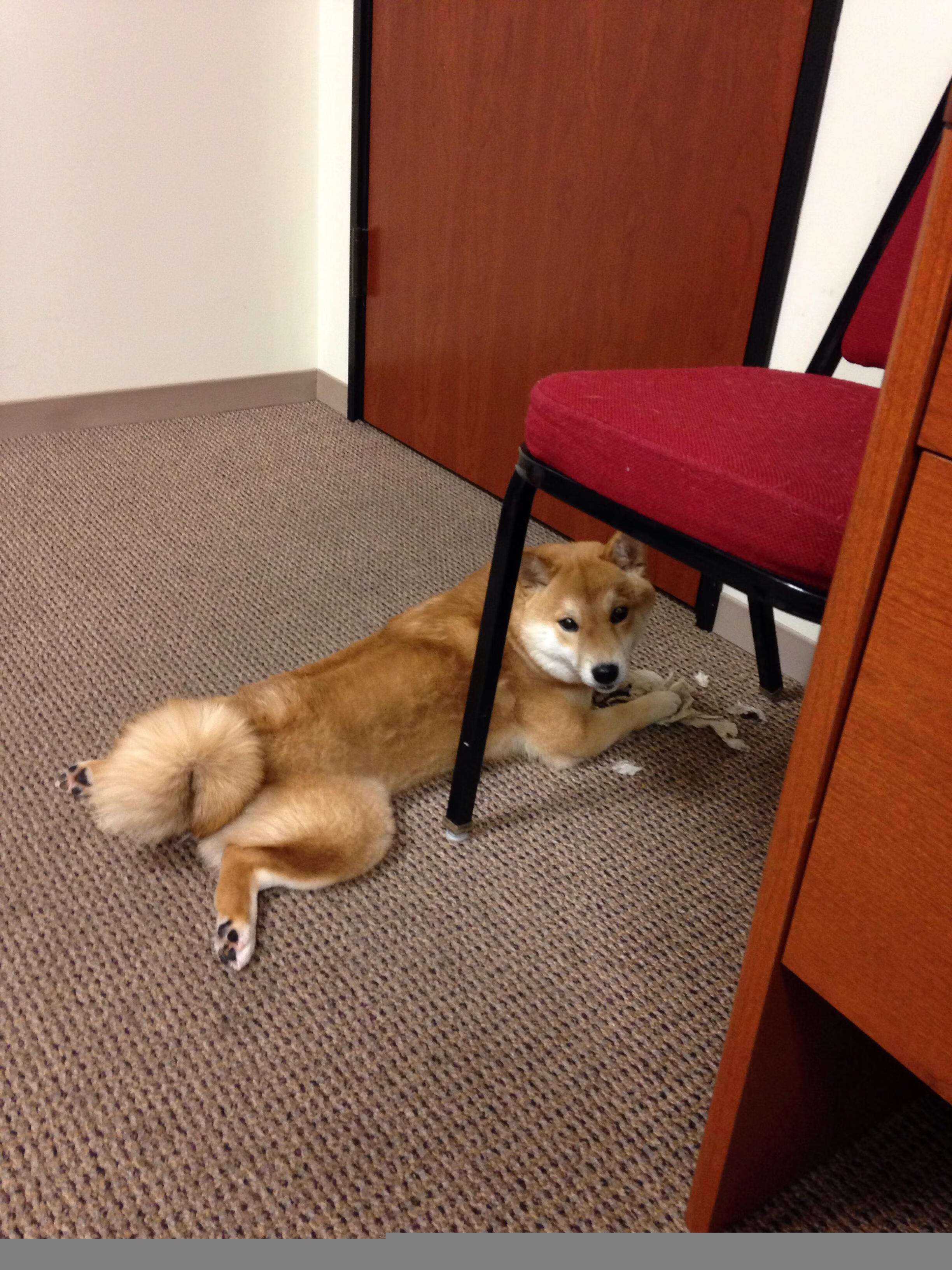 中超联赛中国青年队爆冷 球迷分析原因，中超联赛中国青年队爆冷 球迷分析原因