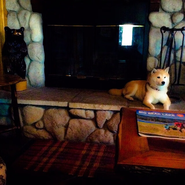 九游-体育培训机构行业规范标准正式实施，体育培训机构需要什么许可证