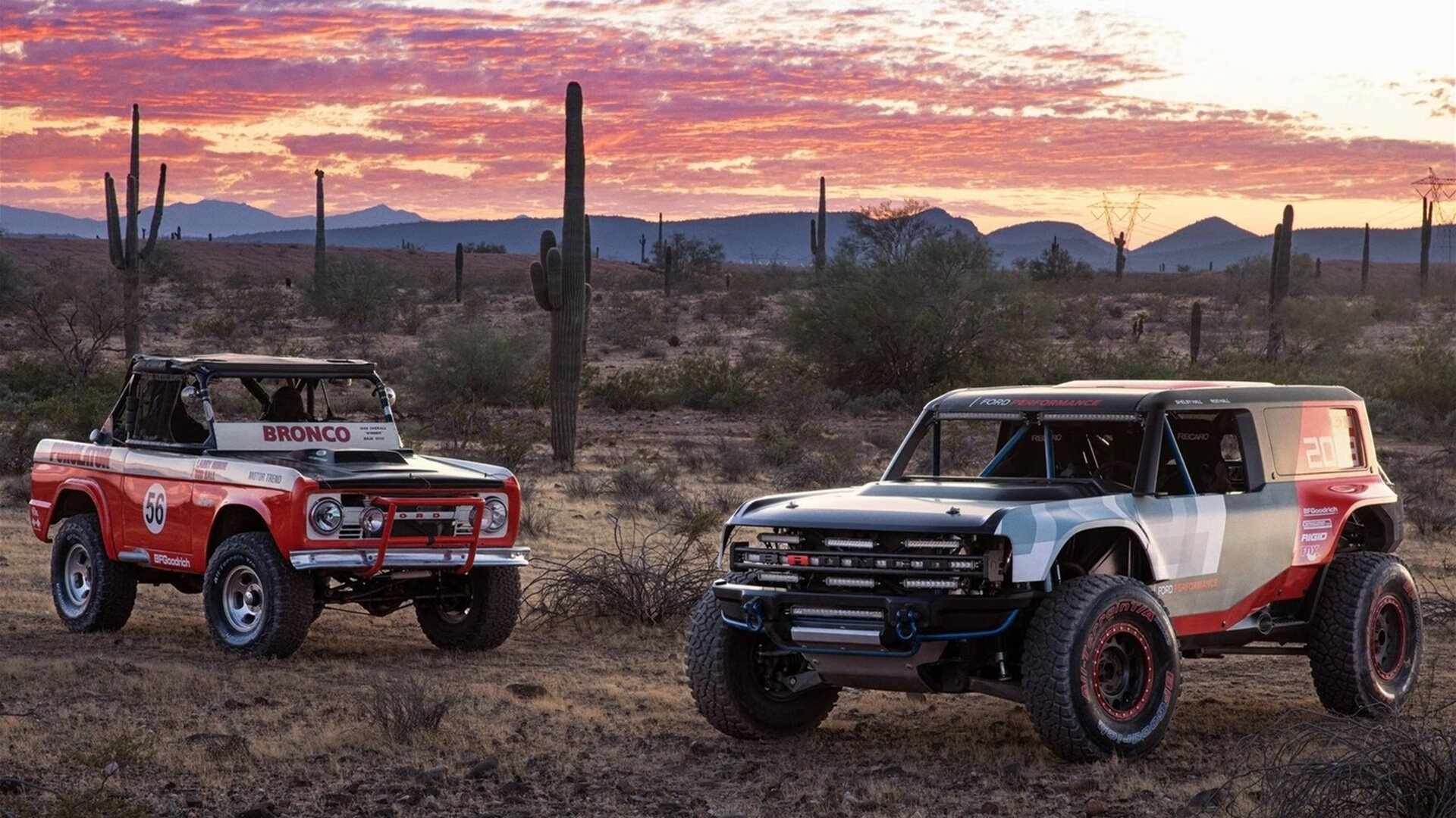 体育新闻中心开展体育新闻专业人才培训计划,体育教师培训新闻稿