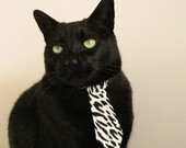 加拿大队如何在国际乒联混合团体世界杯中发挥优势，加拿大乒乓球混双搭档