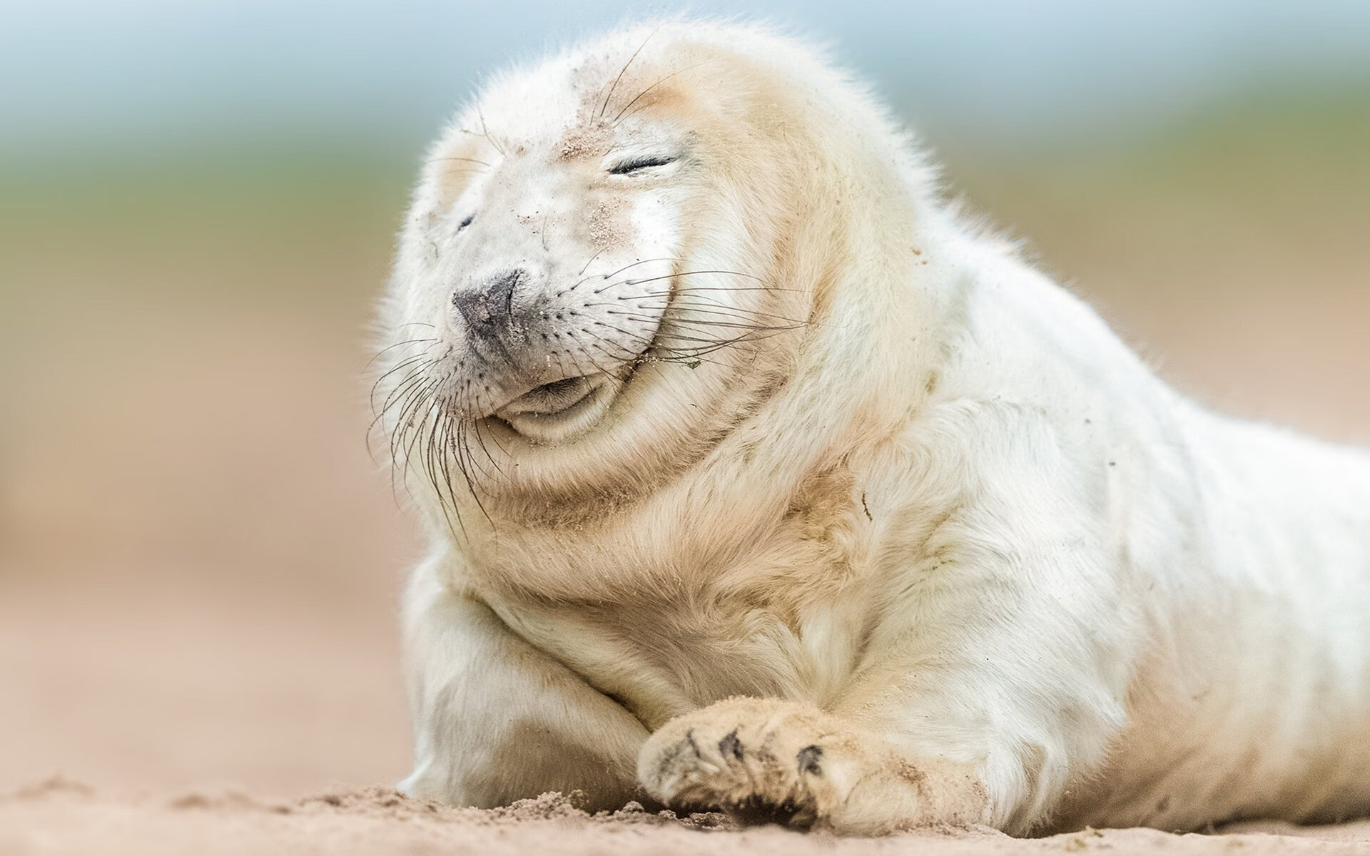 塞尔塔加强控球保持比赛主动,塞尔塔新球场