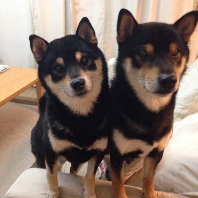 九游网游官网-CBA推出球迷文化周系列活动打造城市篮球氛围，cba球迷电台