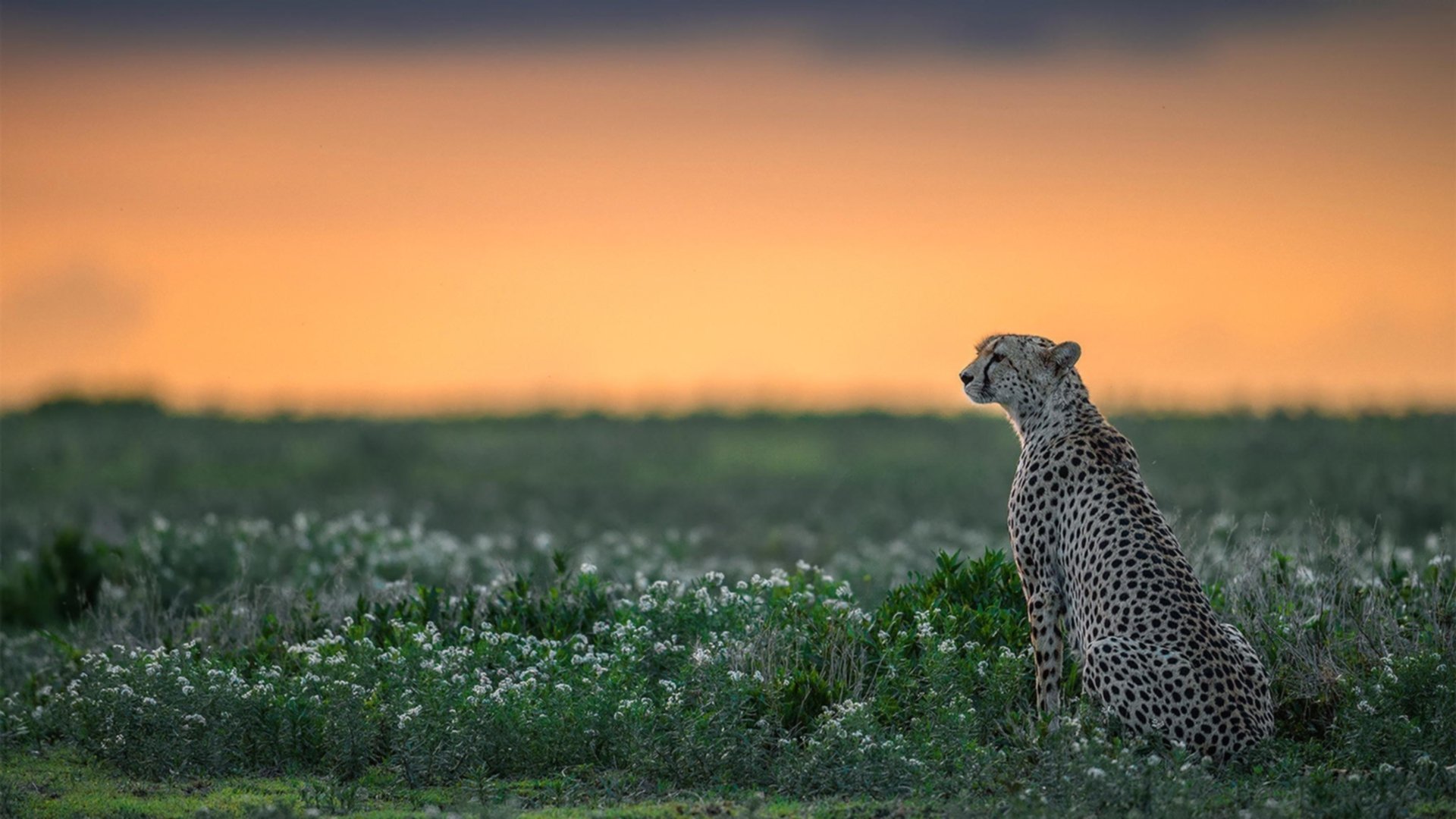 本·普劳德突破自我游出赛季最佳，本杰明普劳德