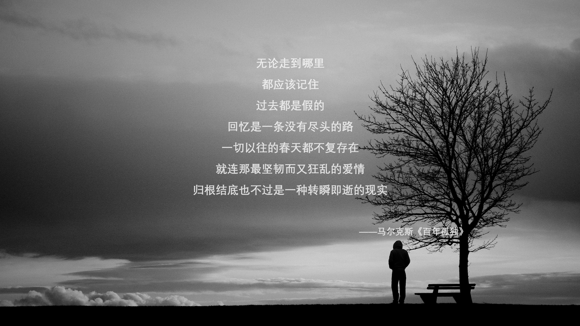 九游娱乐中心-英超赛季中的心理健康关注，英超联赛观众