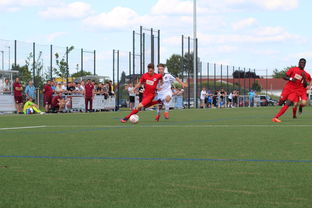 九游jiuyou-荷兰队在国际赛场持续强势，晋级形势良好