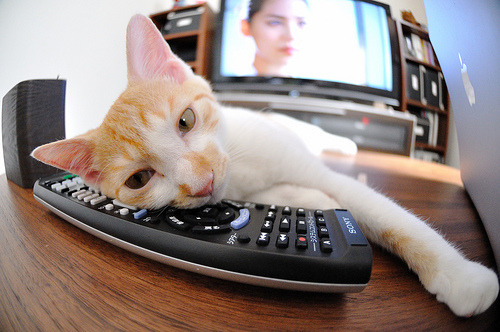 马其顿男篮在欧洲预选赛中展现成长，未来值得期待